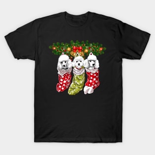 Poodles Socks Christmas Gifts Dogs Lovers T-Shirt